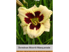 Moonlit_Masquerade 87�.jpg