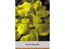 Zounds 87�.jpg