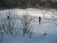 02.02.2009 21:45:38