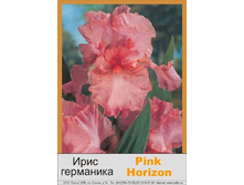 Pink_Horizon 60�.jpg
