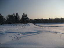 02.02.2009 21:46:19