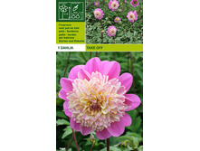 01.10.2012 15:22:52