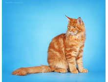 DSC05431.jpg