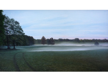 06.02.2009 9:55:09