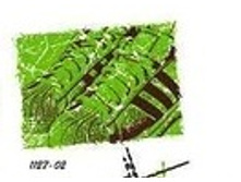 0_724d6_94cf3303_L-001.jpg