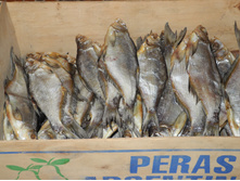 DSCN7109.JPG