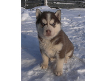 P1020707.JPG