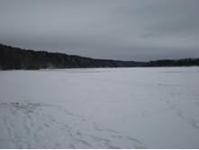 PB190271.JPG