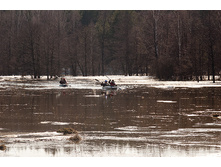 _DSC9342.jpg