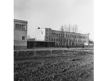 1966-���������.jpg