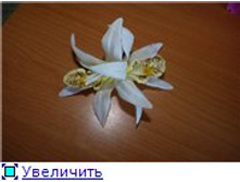 683812eb30fet.jpg