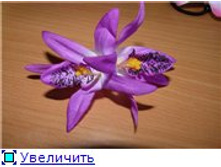 42cf3b7318d0t.jpg