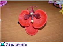 cf817039784dt.jpg