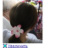 bda7986564a5t.jpg