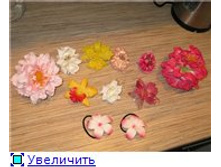 d7f6591297f9t.jpg