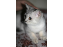 05.09.2010 12:39:28