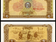 1544259.jpg