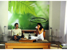 254 x 128 cm (4 parts) art. 4-730