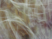368 x 254 cm (8 parts) art. 8-728