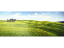 368 x 127 cm (4 parts) art. 4-715