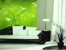 388 x 254 cm (8 parts) art. 8-886 Green