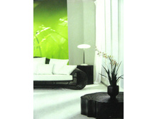 388 x 254 cm (8 parts) art. 8-886 Green