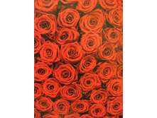 194 x 270 cm (4 parts) art. 4-077