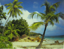 368 x 254cm (8 parts) art 8-885 Praslin