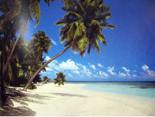 338 x 270cm (8 parts) art 8-240 Maldives