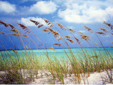 Ocean Breeze 368 x 254 cm (8 parts) art. 8-515