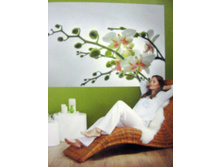 ORCHIDEE 184 x 127 cm (1 parts) art. 1-608