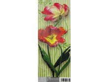 DOORS 92 x 220cm (2 parts) art. 2-1885 Swing