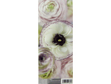DOORS 92 x 220cm (2 parts) art. 2-1884