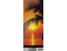 DOORS 92 x 220cm (2 parts) art. 2-1255