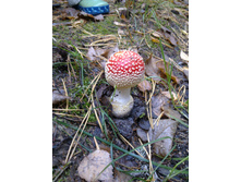 27092012543.jpg