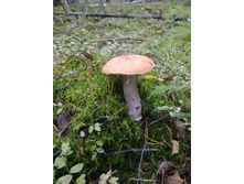 27092012546.jpg