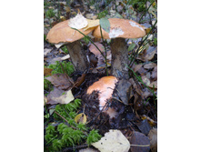 27092012548.jpg