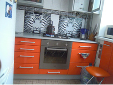 DSCN6253.JPG