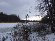 DSCF7933.JPG