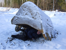 DSCF7952.JPG