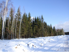 DSCF7957.JPG
