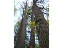DSCF1821.JPG