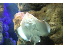 0_82808_4b05ab69_XL.jpg
