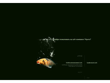 16.02.2009 16:00:43