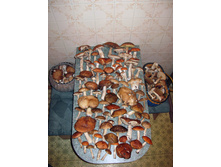 07.09.2010 19:42:38
