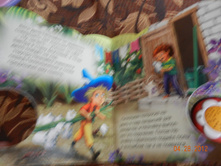 DSCN0917.JPG