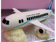 cake-2011-small-5-airplane.jpg
