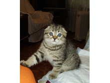 �� 2 PA020017.JPG