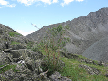 08.09.2010 14:40:57