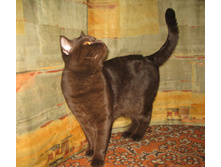 20.02.2009 23:08:56